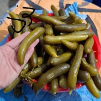 ترشی وخیارشور به صورت عمده|خوردنی و آشامیدنی|اهواز, فرهنگ شهر|دیوار