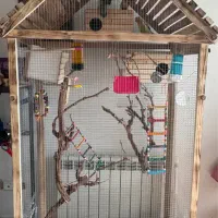 قفس با پرنده