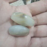 مهره عراقی اصل|جواهرات|بوشهر, |دیوار