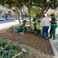 جذب نیرو کار جهت کار در فضای سبز