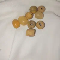 فروش مهره زردی بچه فوقولاده قوی 16عدد 25ملیون|جواهرات|تالش, هشتپر|دیوار