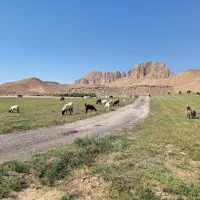 چوپان گچساران|استخدام سرایداری و نظافت|دهدشت, |دیوار