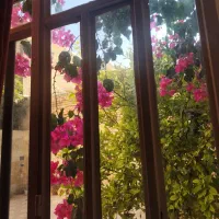 منزل طبقه اول ۱۲۰ متری دو خوابه تخلیه|اجارهٔ خانه و ویلا|شیراز, کوشک میدان|دیوار