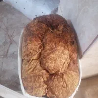 پلنگی بنیاد درجه 1