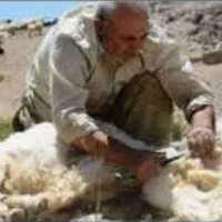 پشم چینی حرفه ای