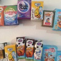 مگنت مینیاتوری|صنایع دستی و سایر لوازم تزئینی|شیراز, گویم|دیوار