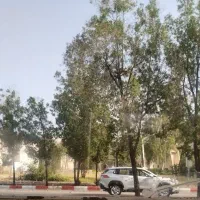 معاوضه ۱۱۰۰مترزمین زراعی نامبر oneبا ماشین توجزیره