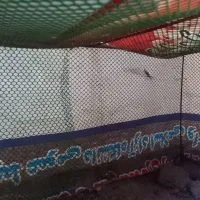 قفس بزرگ|لوازم جانبی حیوانات|خوی, |دیوار