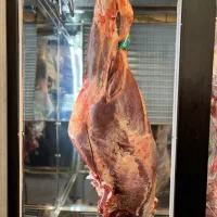 استخدام یک قصاب ماهر و یک مرغکار