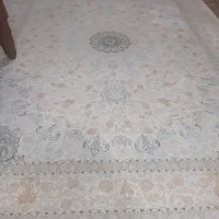 فرش|فرش|قم, نیروگاه|دیوار