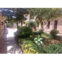 شاهین-شمالی-فرعی-بسیار-دنج-147متری