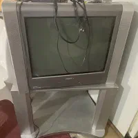 تلویزیون