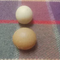 دوعددسنگ آسیاب اصل