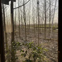 ویلا در آغوش طبیعت با دسترسی مستقیم به آب|فروش خانه و ویلا|میاندوآب, |دیوار