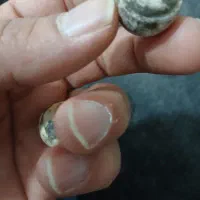 سنگ آسیاب خیلی قدیمی|کلکسیون اشیاء عتیقه|اهواز, کوی طلاب|دیوار