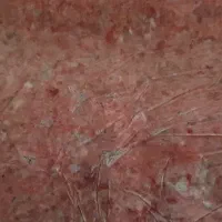 گردن چرخ کرده برای غذای گربه