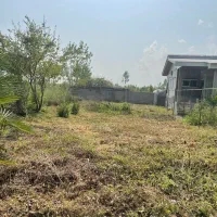 زمین سند تک‌برگ ۲۶۰ متری