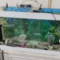 آکواریم تمکیل