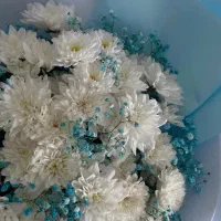 سفارش گل|گل مصنوعی|مشهد, کوثر|دیوار