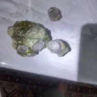 سوسنی یمن قیمتی و..