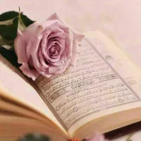 سرکتاب