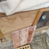 قفس جفت کن چوبی