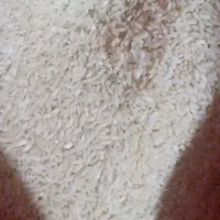 فروش ۱۰۰ کلو