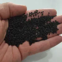 بذر پیاز