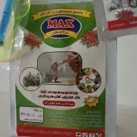 سرلاک پرنده