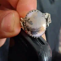 انگشتر شجر نقره