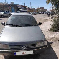 پژو ۴۰۵ دلفینی