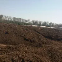 پخش کود حیوانی گاوی پوسیده به تعدادی ۲۰۰۰کامیون|خدمات باغبانی و درختکاری|محمدیه-قزوین, |دیوار