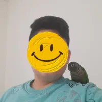 معاوضه طوطی گرینچیک نر سخنگو با خروس لاری