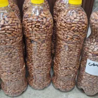 فروش  لوبیا محلی برای کاشت قیمت مناسب|خوردنی و آشامیدنی|لاهیجان, امیرشهید|دیوار