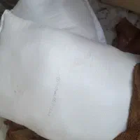 سع عدد ارد تازه