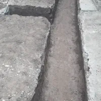 هرگونه کنده کاری  پی چاه پالانه چاله سپتینگ باغچه|خدمات باغبانی و درختکاری|گنبد کاووس, |دیوار