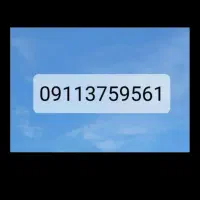 09113759561