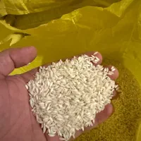 برنج صادراتی ارگانیک