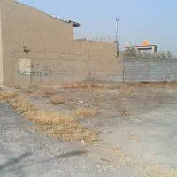 زمین1000متری جاده آسفالته کاهو مجتمع چمن آرا|فروش زمین و ملک کلنگی|گلمکان, |دیوار