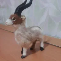بز اسباب بازی