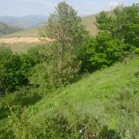 انجام تخصصی اموراداری،بانکی،مالیاتی وبیمه بشرح ذیل