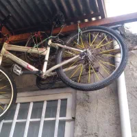 دوچرخه ۲۴ بنیتا