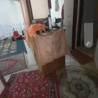 ویلایی|اجارهٔ خانه و ویلا|اصفهان, باغ فدک|دیوار