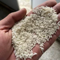 برنج اصیل ایرانی|خوردنی و آشامیدنی|یزد, |دیوار