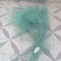 تفاحه راهبند