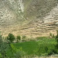 باغ ملاباغر