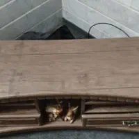 میز تلوزیون شرکتی مارک دار|میز تلویزیون|قم, شهرک امام حسن|دیوار