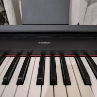 yamaha np12