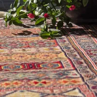 گلیم شیرکی پیچ سیرجان|گلیم، جاجیم، گبه|سیرجان, |دیوار