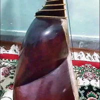 تارحرفه ای مهردار|سازهای سنتی|تهران, فردوس|دیوار